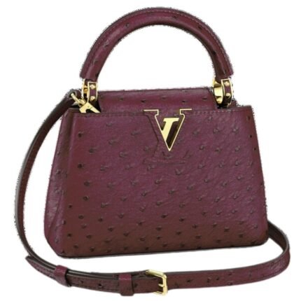 LOUIS VUITTON CAPUCINES MINI