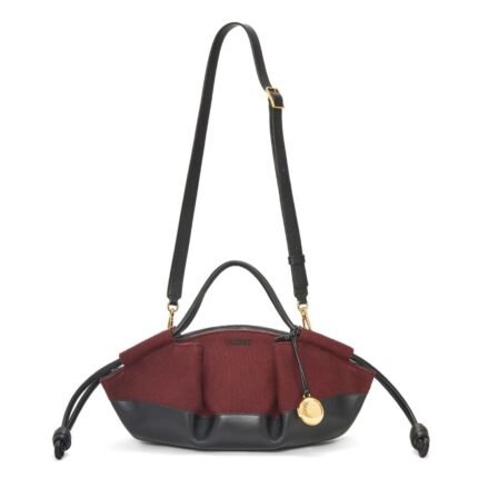 LOEWE SMALL PASEO BAG IN SHINY CALFSKIN